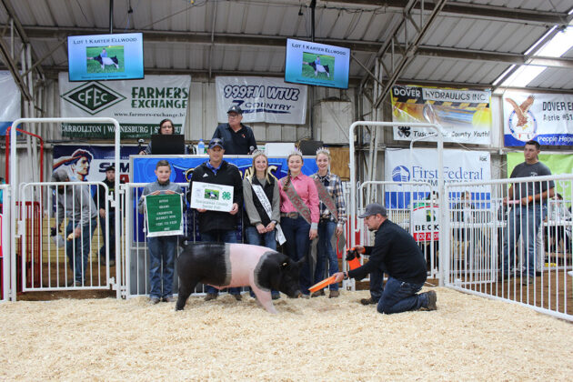 Grand Champion Hog