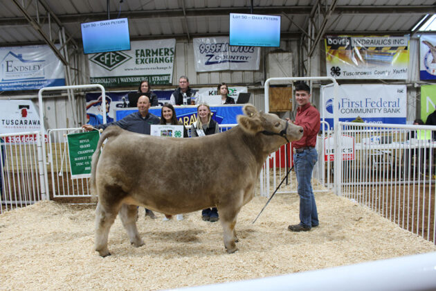 Grand Champion Steer