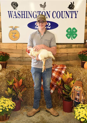 Reserve Champion Market Chickens