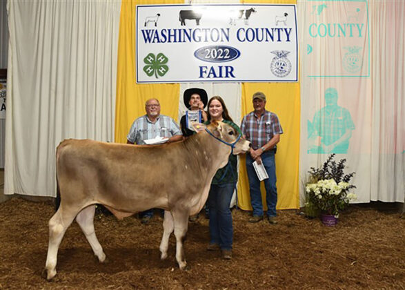 Grand Champion Market Dairy