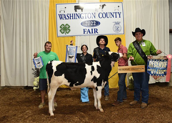 Reserve Champion Market Dairy
