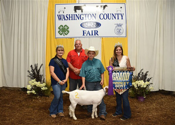 Grand Champion Market Goat