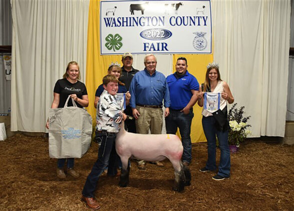 Grand Champion Market Lamb