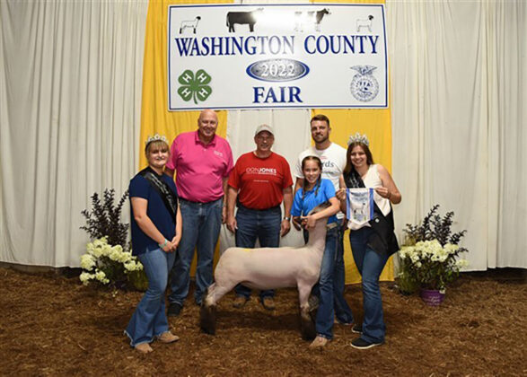 Reserve Champion Market Lamb