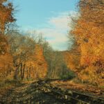 Take the time to enjoy September fall leaves and train tracks