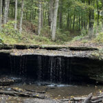 Appreciating the restoration of natural beauty Settlers Cabin Park
