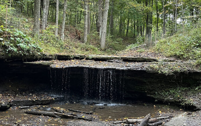 Settlers Cabin Park Settlers Cabin Park