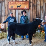 2022 Barlow Independent Fair Sale Grand Champion Feeder Calf Heifer