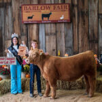 Sale of grand champion steer helps young girl get service dog Grand Champion Feeder Calf Steer