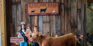 Grand Champion Feeder Calf Steer