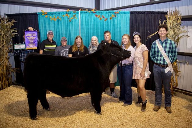 Grand Champion Market Beef