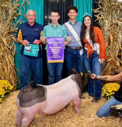Grand Champion Market Hog
