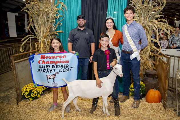 Reserve Champion Dairy Wether Goat
