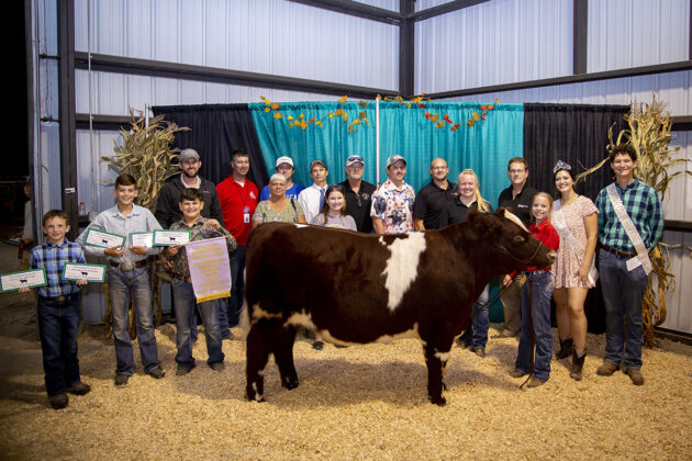 Reserve Champion Beef