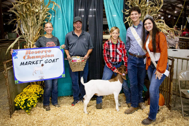 Reserve Champion Goat
