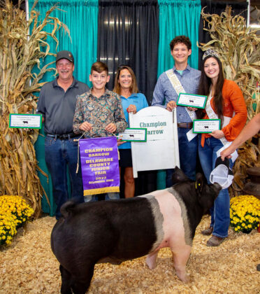 Reserve Champion Hog