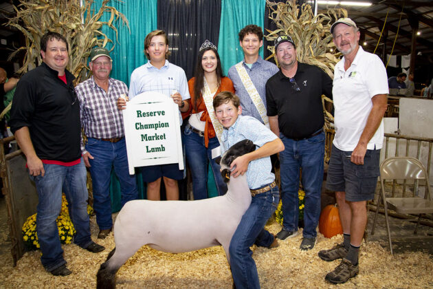 Reserve Champion Lamb