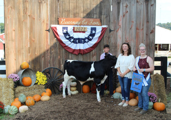Grand Champion Dairy Beef Feeder