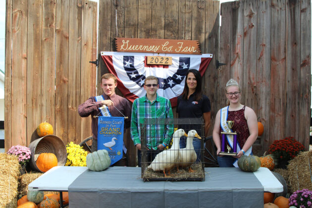 Grand Champion Ducks