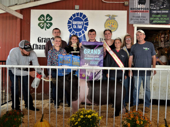 Grand Champion Hog