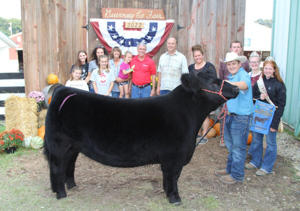 Grand Champion Steer