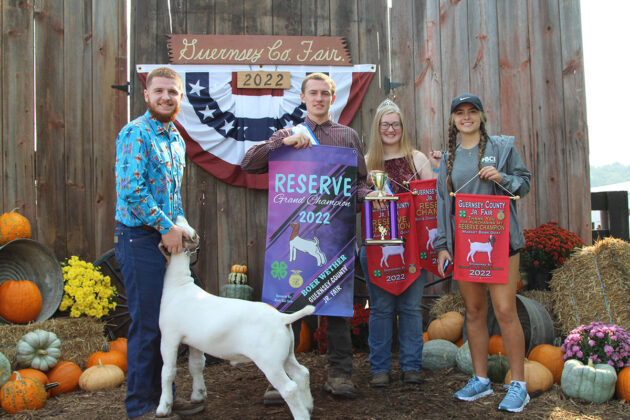 Reserve Champion Boer Goat