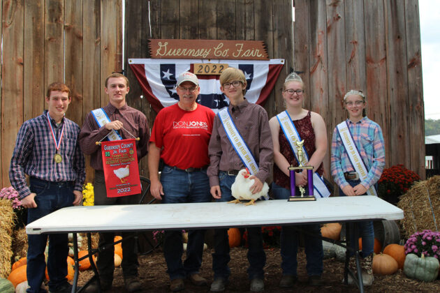 Reserve Champion Market Poultry