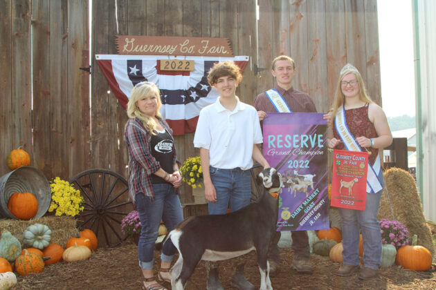 Reserve Champion Dairy Goat