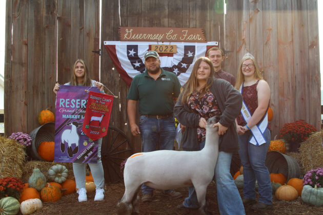 Reserve Champion Lamb