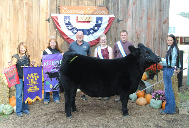 Reserve Champion Steer