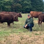 Ohio set to host national Red Devon cattle meeting Red Devon