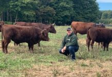 NE Ohio farm to host World Devon Congress Tour on April 28 Red Devon
