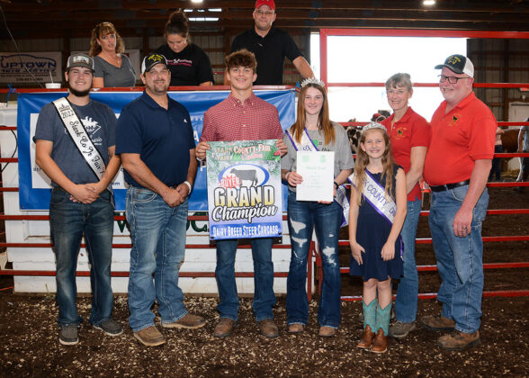 Grand Champion Carcass Dairy Steer