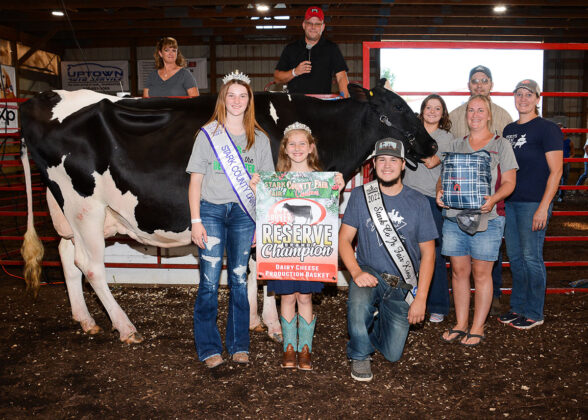 Reserve Champion Dairy Cheese