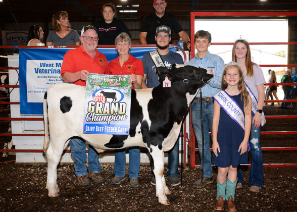 Grand Champion Dairy Beef Feeder