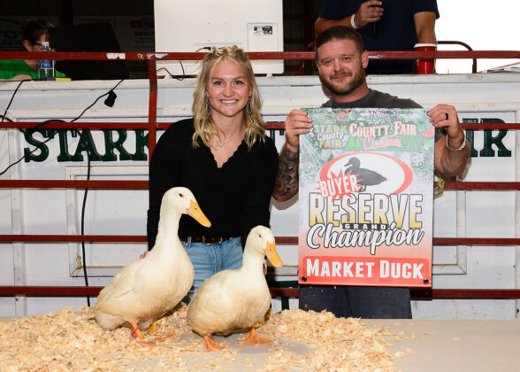 Reserve Champion Duck