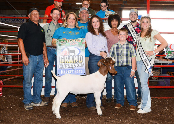 Grand Champion Market Goat