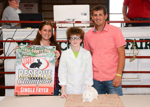 Reserve Champion Fryer Rabbit