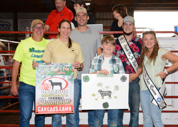reserve Champion Carcass Sheep