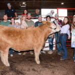 Grand Champion Market Steer