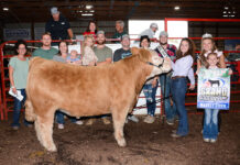 Fair starter scholarship available from Deerfield Ag Services Grand Champion Market Steer