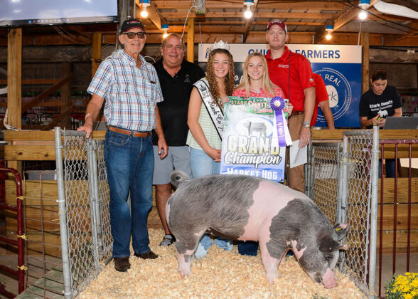Grand Champion Hog