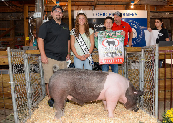 Reserve Champion Hog
