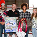 2022 Stark County Fair sale Grand Champion Wool