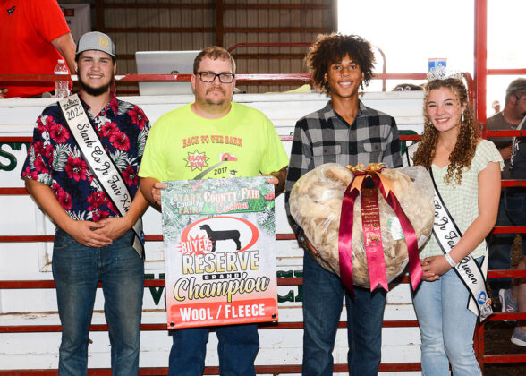 Reserve Champion Wool