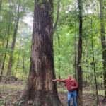 Centuries in the making: A bicentennial farm’s ‘tree-mendous’ treasure Curtis Cook