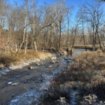 The power of citizen science in protecting local water resources Mill Stream Run Reservation