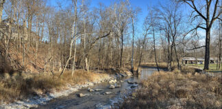 Mill Stream Run Reservation