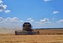 Looking back at the stories that shaped ag in 2022 Ukraine