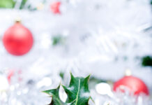 Sticky Figgy Pudding